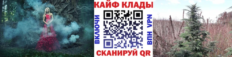 Где продают наркотики Донской МАРИХУАНА  Alpha PVP  ГАШИШ  Псилоцибиновые грибы  КОКАИН 