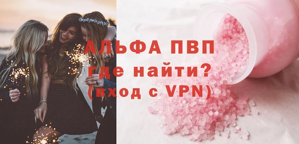 стаф Вяземский