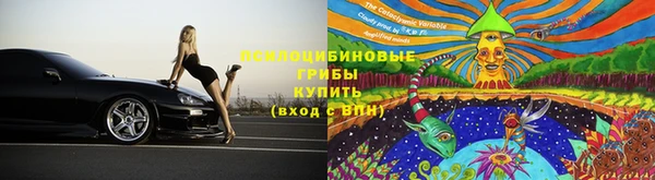 стаф Вяземский