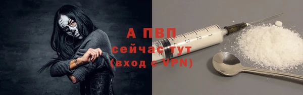 стаф Вяземский