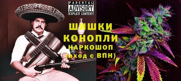 стаф Вяземский
