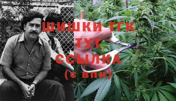 ГАЛЛЮЦИНОГЕННЫЕ ГРИБЫ Вязьма