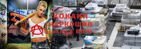 стаф Вяземский