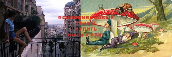 стаф Вяземский