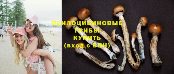 стафф Вязники