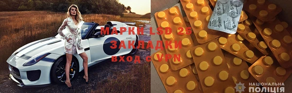 ГАЛЛЮЦИНОГЕННЫЕ ГРИБЫ Вязьма