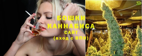 ГАЛЛЮЦИНОГЕННЫЕ ГРИБЫ Вязьма