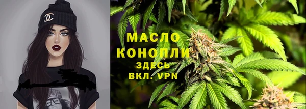 стаф Вяземский