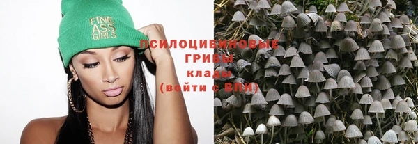 ГАЛЛЮЦИНОГЕННЫЕ ГРИБЫ Вязьма