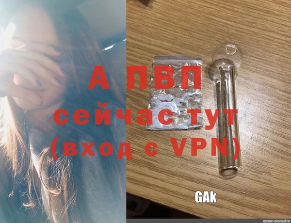 стаф Вяземский