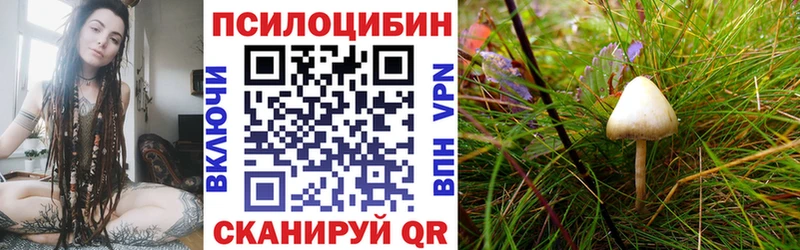 наркотики  мега зеркало  Галлюциногенные грибы Cubensis  Донской 